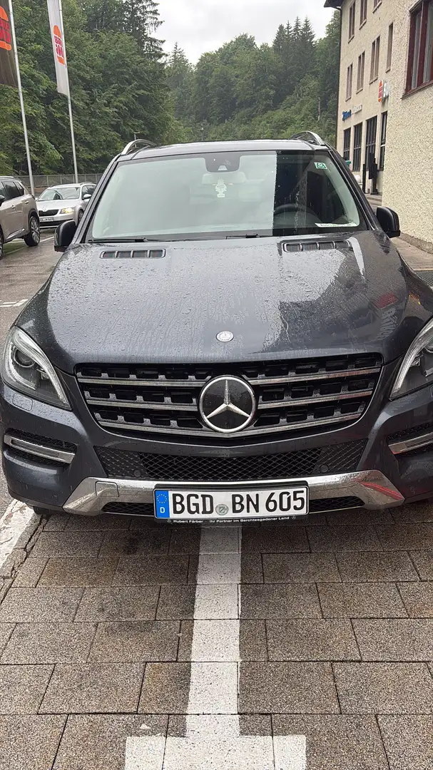 Mercedes-Benz ML 350 BlueTEC 4MATIC 7G-TRONIC - 1