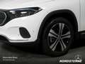 Mercedes-Benz EQA 250 EQA 250 Progessiv LED Widescreen el. Heckklappe Blanc - thumbnail 2