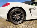 Porsche Boxster Boxster 981 2,7 DSG Weiß - thumbnail 12