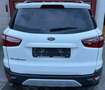 Ford EcoSport 1.5 TDCi 4x2 Titanium + CLIM + JANTES ALU Blanc - thumbnail 5