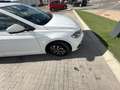 Volkswagen Polo 1.0 TSI Life 70kW - thumbnail 3