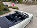 Porsche 991 911 991 Carrera Cabriolet Automatik Service NEU! Weiß - thumbnail 7