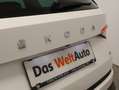 Skoda Kodiaq 4x4 Style Limited TDI DSG Weiß - thumbnail 12