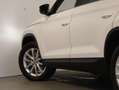 Skoda Kodiaq 4x4 Style Limited TDI DSG Weiß - thumbnail 14
