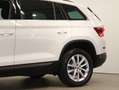 Skoda Kodiaq 4x4 Style Limited TDI DSG Weiß - thumbnail 8