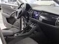 Skoda Kodiaq 4x4 Style Limited TDI DSG Weiß - thumbnail 29