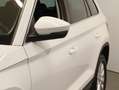Skoda Kodiaq 4x4 Style Limited TDI DSG Weiß - thumbnail 6