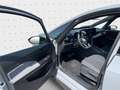 CUPRA Born *LED*Navi*Keyless*RFK*Climatronic* Grigio - thumbnail 15