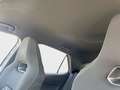 CUPRA Born *LED*Navi*Keyless*RFK*Climatronic* Grigio - thumbnail 11