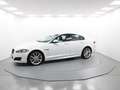 Jaguar XF 2.2 Diesel Luxury Aut. Blanc - thumbnail 4
