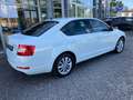 Skoda Octavia 2.0 TDI DSG DPF Style Green tec NAVI,GRA,Lane.Ass Wit - thumbnail 4
