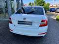 Skoda Octavia 2.0 TDI DSG DPF Style Green tec NAVI,GRA,Lane.Ass Wit - thumbnail 5