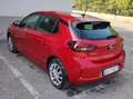 Opel Corsa 100KW ELETTRICA Edition TG : GH174FY Rosso - thumbnail 4