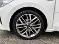 Kia Rio GT-Line 1.0 TGDI 48V MT6 120PS LP € 27.040,- Weiß - thumbnail 18
