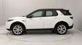 Land Rover Discovery Sport 2.0d i4 mhev HSE awd 150cv 7p.ti auto Wit - thumbnail 2