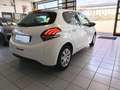 Peugeot 208 5p 1.2 82cv Active "NEOPATENTATI" - thumbnail 13
