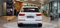 Audi Q7 50 TDI quatttro S-tronic *BOSE*Pano*360°*Virtual-C Weiß - thumbnail 8