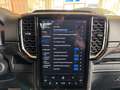 Ford Ranger MS-RT DoKa e-4WD+B&O+LED+ACC+PDC+BLIS+AHK Grau - thumbnail 17