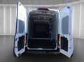 Ford Transit Trend 350 EXPRESS-LINE L3H3 AUT | KLIMAAUT | GRA | Weiß - thumbnail 18
