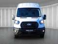 Ford Transit Trend 350 EXPRESS-LINE L3H3 AUT | KLIMAAUT | GRA | Weiß - thumbnail 8