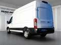 Ford Transit Trend 350 EXPRESS-LINE L3H3 AUT | KLIMAAUT | GRA | Weiß - thumbnail 3