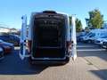 Ford Transit Trend 350 EXPRESS-LINE L3H3 AUT | KLIMAAUT | GRA | Weiß - thumbnail 27
