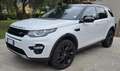 Land Rover Discovery Sport Discovery Sport 2.2 sd4 HSE Luxury awd 190cv auto Bianco - thumbnail 5