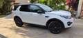 Land Rover Discovery Sport Discovery Sport 2.2 sd4 HSE Luxury awd 190cv auto Bianco - thumbnail 6