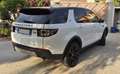 Land Rover Discovery Sport Discovery Sport 2.2 sd4 HSE Luxury awd 190cv auto Bianco - thumbnail 7