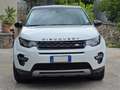 Land Rover Discovery Sport Discovery Sport 2.2 sd4 HSE Luxury awd 190cv auto Bianco - thumbnail 2