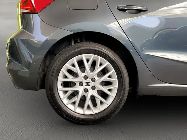 Seat Ibiza view 6