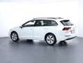 Volkswagen Golf Variant Business mHeV DSG Weiß - thumbnail 7