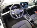 Volkswagen Golf Variant Business mHeV DSG Weiß - thumbnail 14