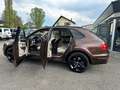 Bentley Bentayga 6.0 W12 *Black-Specification ACC 22" Leder beige Bruin - thumbnail 16