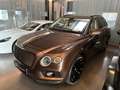 Bentley Bentayga 6.0 W12 *Black-Specification ACC 22" Leder beige Marrón - thumbnail 2