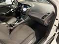 Ford Focus Wagon 1.0 E.B 101PK Titanium Navigatie|Trekhaak! Weiß - thumbnail 11