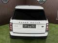 Land Rover Range Rover 3,0L TD V6 Vogue Weiß - thumbnail 11