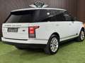 Land Rover Range Rover 3,0L TD V6 Vogue Weiß - thumbnail 8