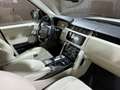Land Rover Range Rover 3,0L TD V6 Vogue Weiß - thumbnail 24