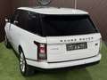 Land Rover Range Rover 3,0L TD V6 Vogue Weiß - thumbnail 13