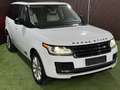 Land Rover Range Rover 3,0L TD V6 Vogue Weiß - thumbnail 6