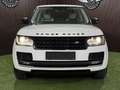 Land Rover Range Rover 3,0L TD V6 Vogue Weiß - thumbnail 3