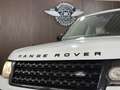 Land Rover Range Rover 3,0L TD V6 Vogue Weiß - thumbnail 7