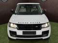 Land Rover Range Rover 3,0L TD V6 Vogue Weiß - thumbnail 4