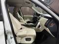 Land Rover Range Rover 3,0L TD V6 Vogue Weiß - thumbnail 21