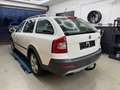 Skoda Octavia 2.0 TDI 4x4 Scout Combi/Scheckheft/6Gang Weiß - thumbnail 4