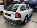 Skoda Octavia 2.0 TDI 4x4 Scout Combi/Scheckheft/6Gang Weiß - thumbnail 7