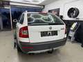 Skoda Octavia 2.0 TDI 4x4 Scout Combi/Scheckheft/6Gang Weiß - thumbnail 5