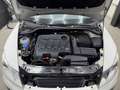 Skoda Octavia 2.0 TDI 4x4 Scout Combi/Scheckheft/6Gang Weiß - thumbnail 23