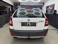 Skoda Octavia 2.0 TDI 4x4 Scout Combi/Scheckheft/6Gang Weiß - thumbnail 6